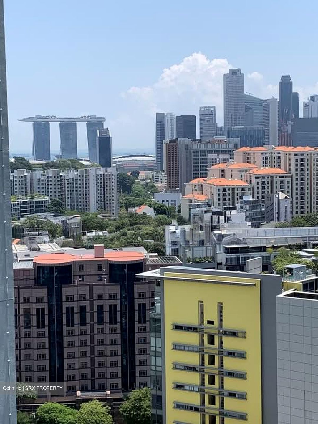 The Suites At Central (D9), Condominium #550102151